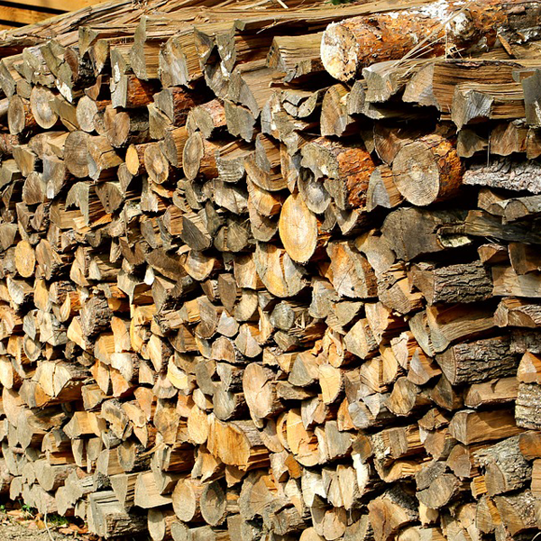 https://pixabay.com/photos/woodpile-logging-wood-cutting-1698340/