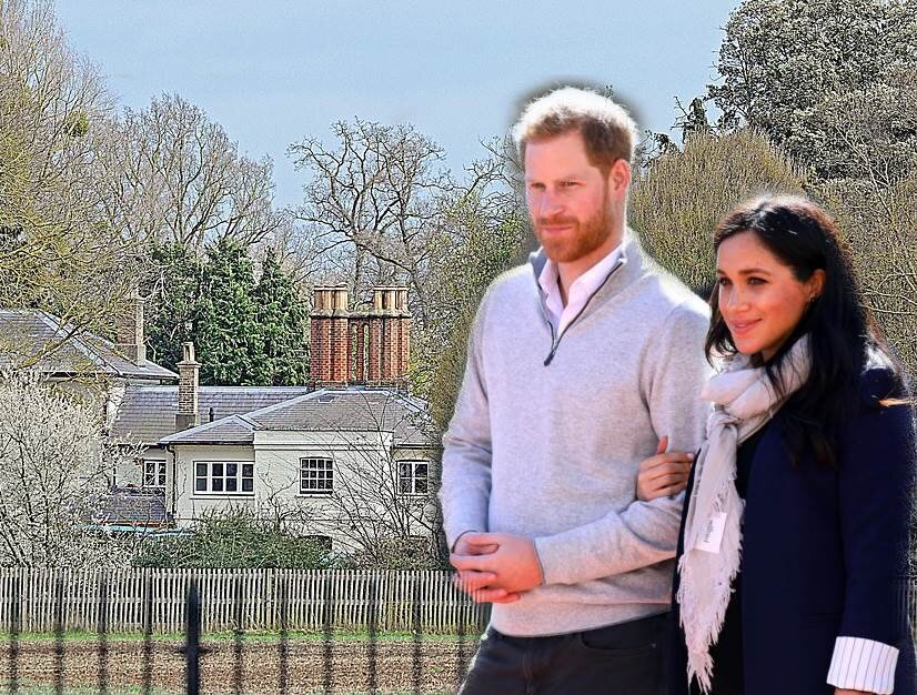 Фото: insider.com