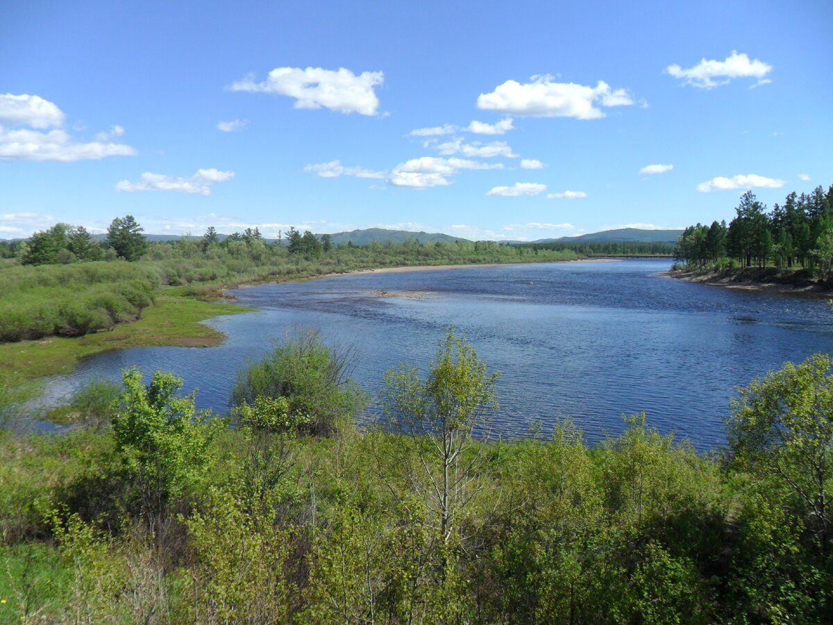 Река Шилка