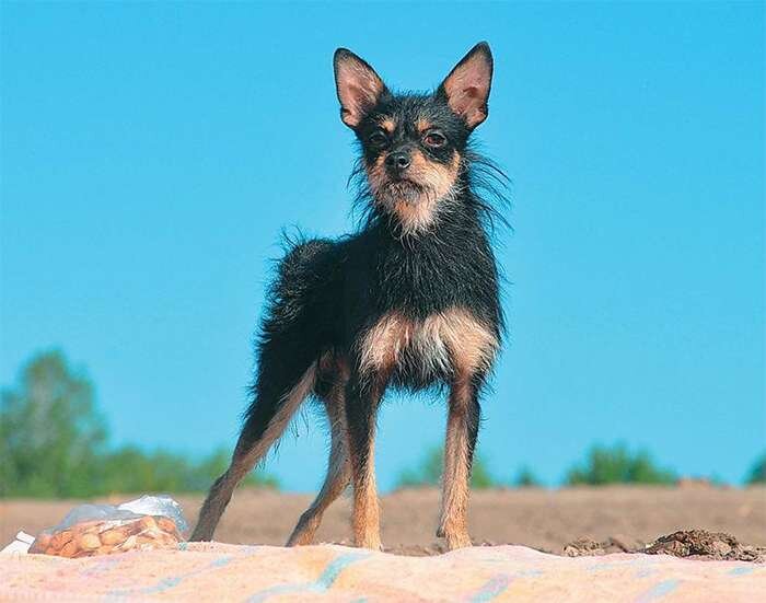 Фото из интернета 