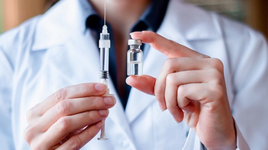 фото:"Вести Воронеж" 
