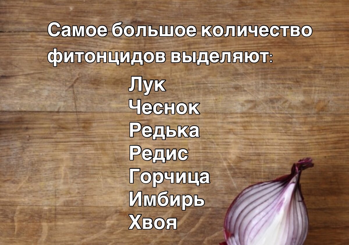 Природа на страже нашего здоровья.