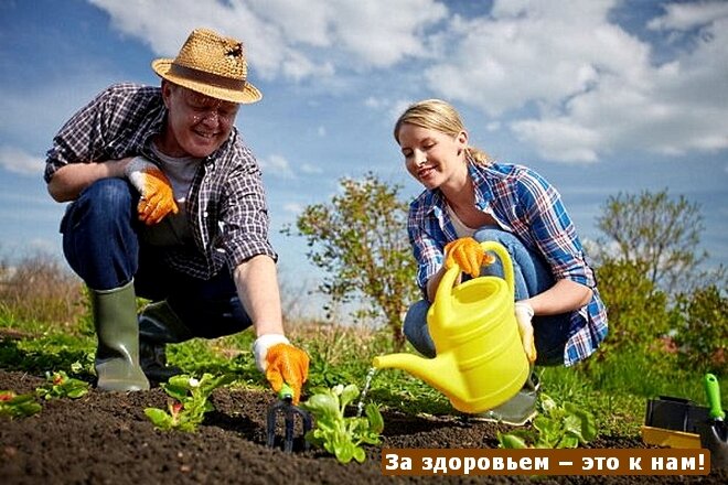 Работа в саду укрепляет здоровье