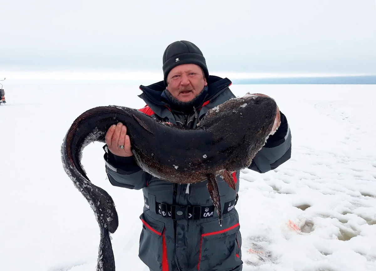 Спортивные способы ловли рыбы на море [ Шеманский Ю.А. - Современный морской рыболовный спорт]