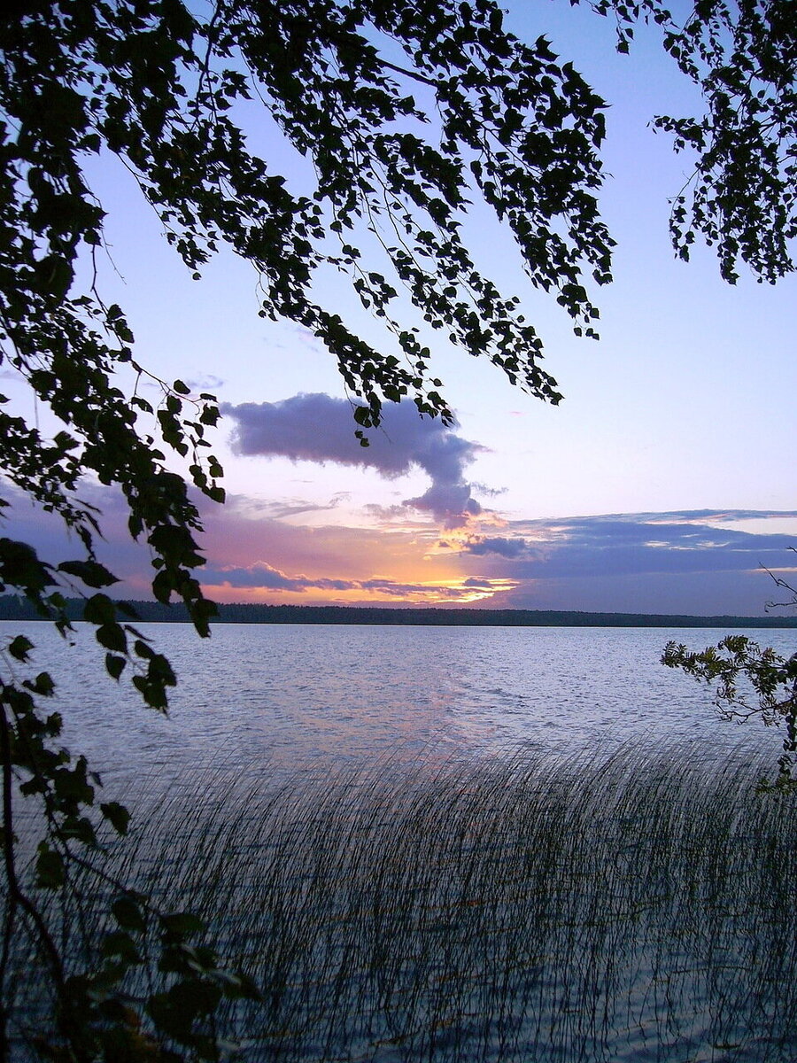 Падозеро (Лучевое). Здесь и далее фотографии автора 