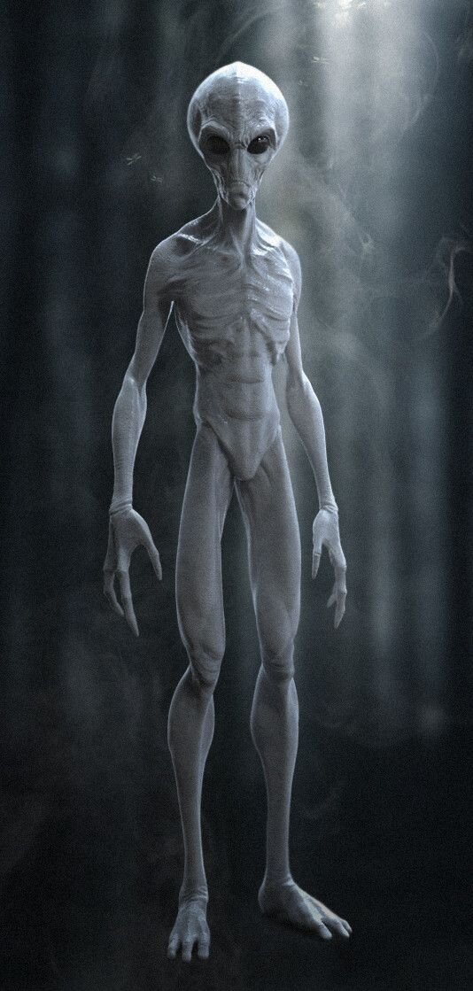 САКСОНСКИЕ / ГЕРМАНСКИЕ 