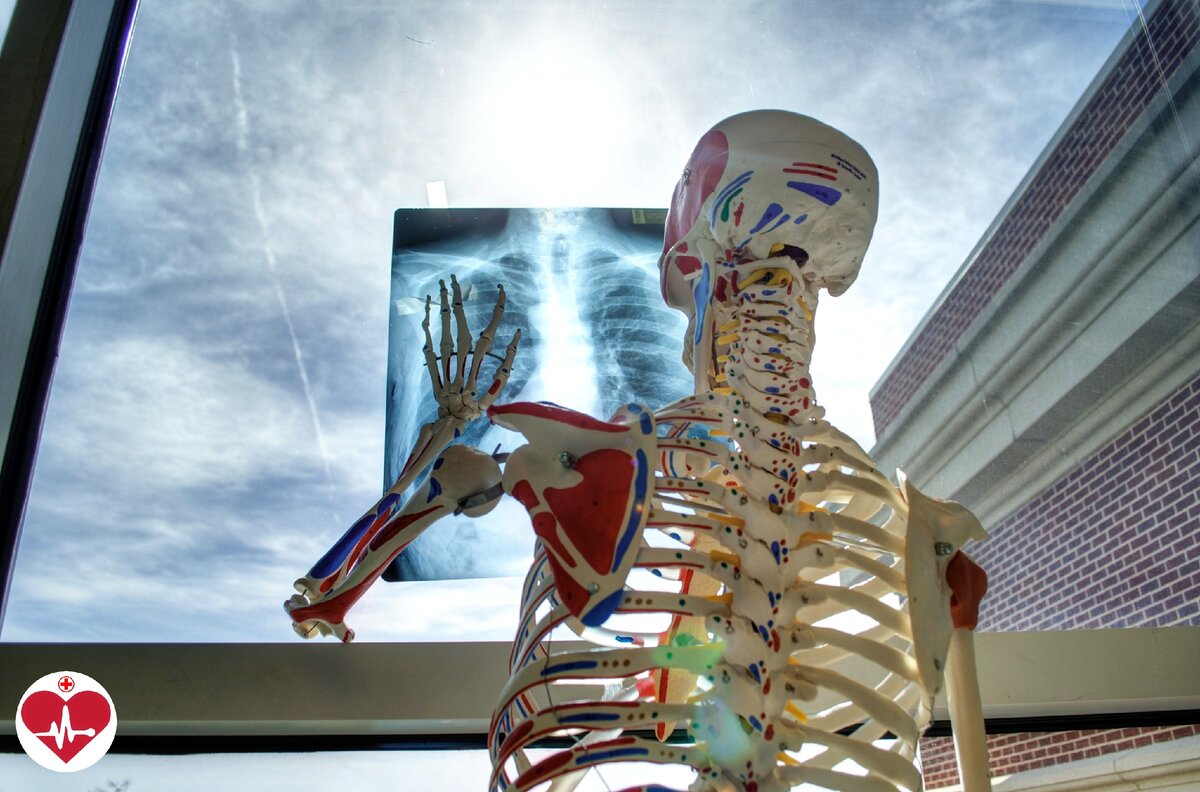 Из открытых источников