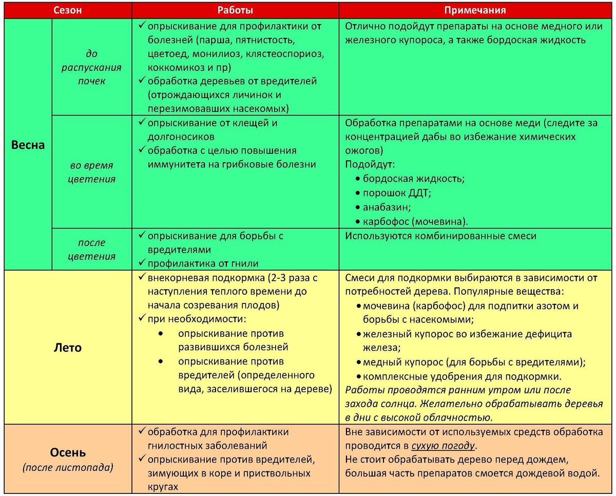 Календарь опрыскивания плодовых деревьев: таблица и технология  опрыскиваний, составы для обработки | zagorodnaya-life.ru | Дзен