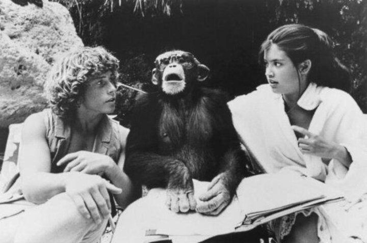 Канадский фильм «Рай» неспроста обвиняли в плагиате. В центре сюжета этой романтической истории, как и в знаменитой «Голубой лагуне» (вышла 2 годами ранее), - двое подростков, оставшихся в дикой природе без опеки и поддержки взрослых...