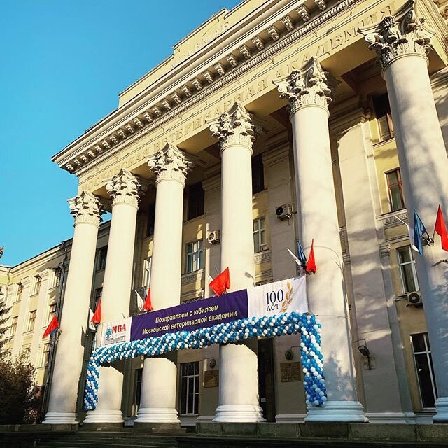 Фотография взята из открытых источников. 