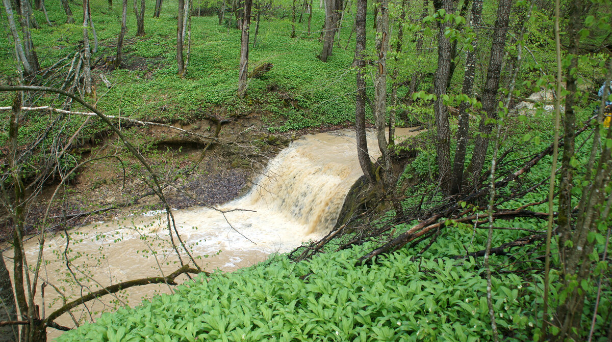 река Фарс