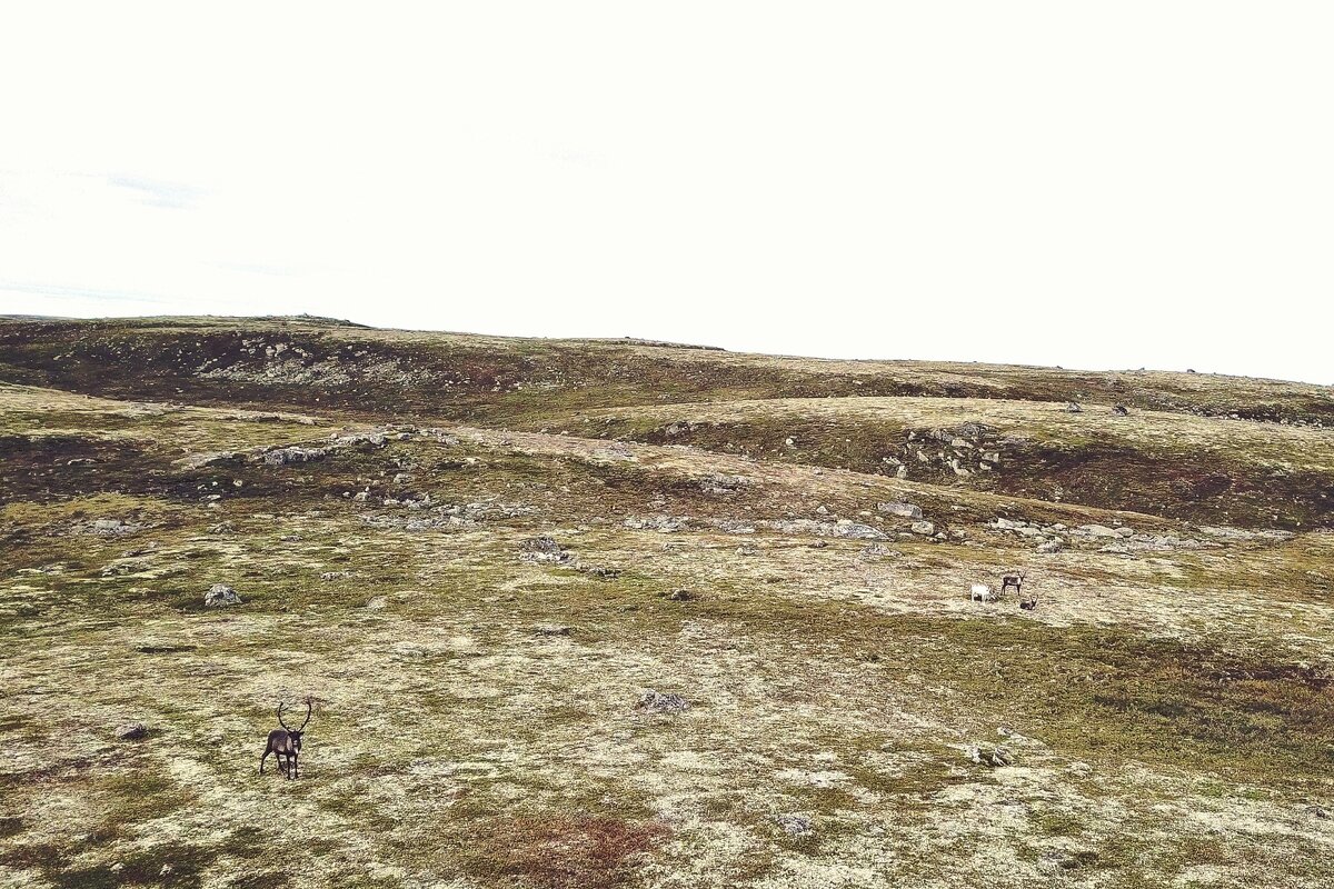 Это был один из лучших походов года.. С тяжелыми переходами, переносами лодки между озерами, с сильными ветрами и постоянным проливным дождем...