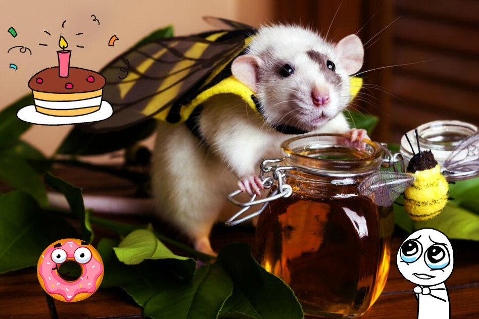 Honey, you smell delicious!