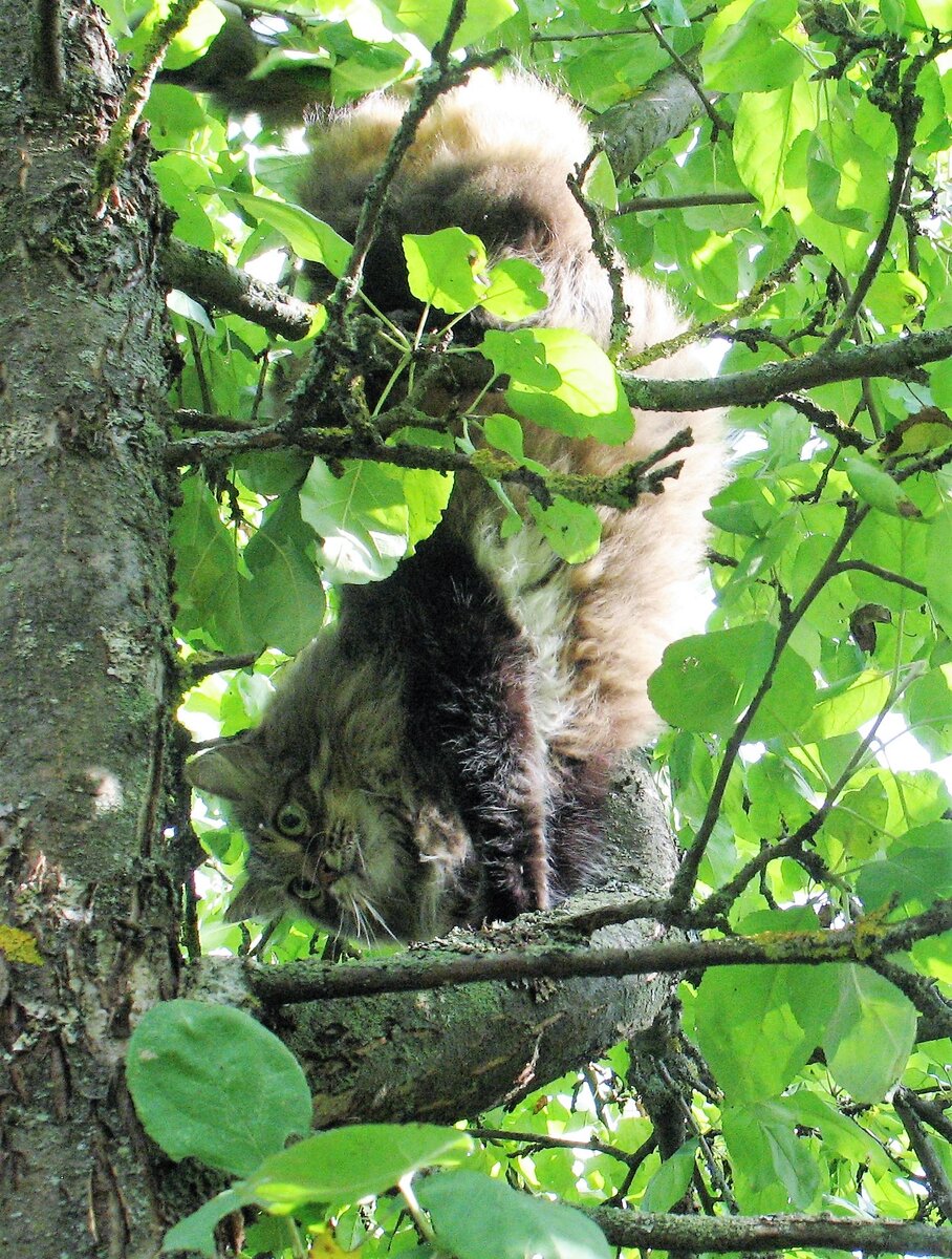 В своей стихии.