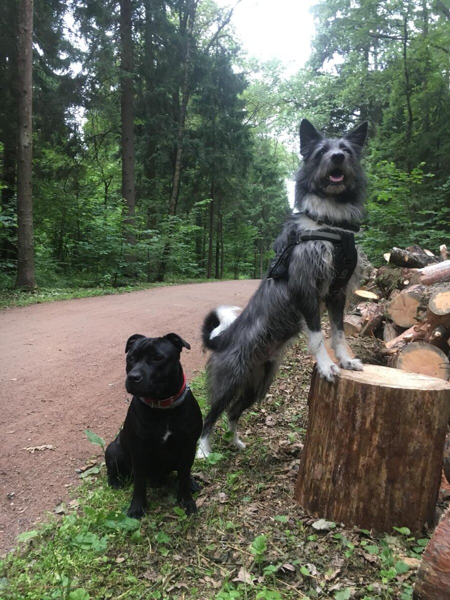 Лора и Лютик