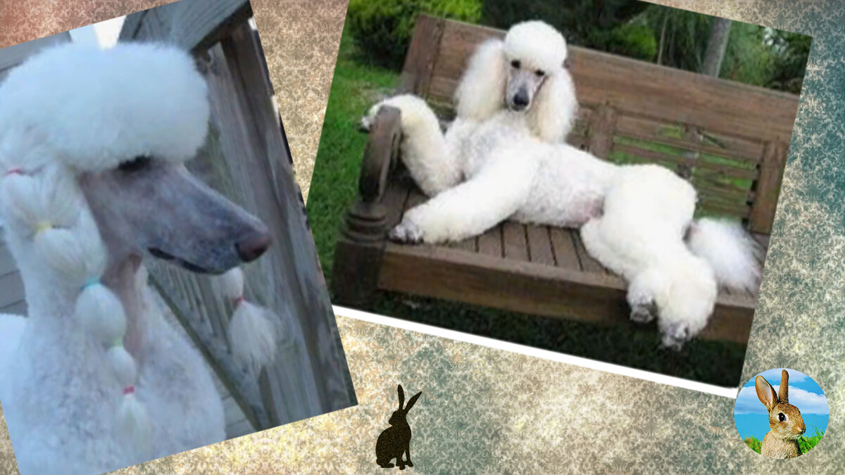 Буди признательна, если поставите палец вверх и подпишитесь на конал.