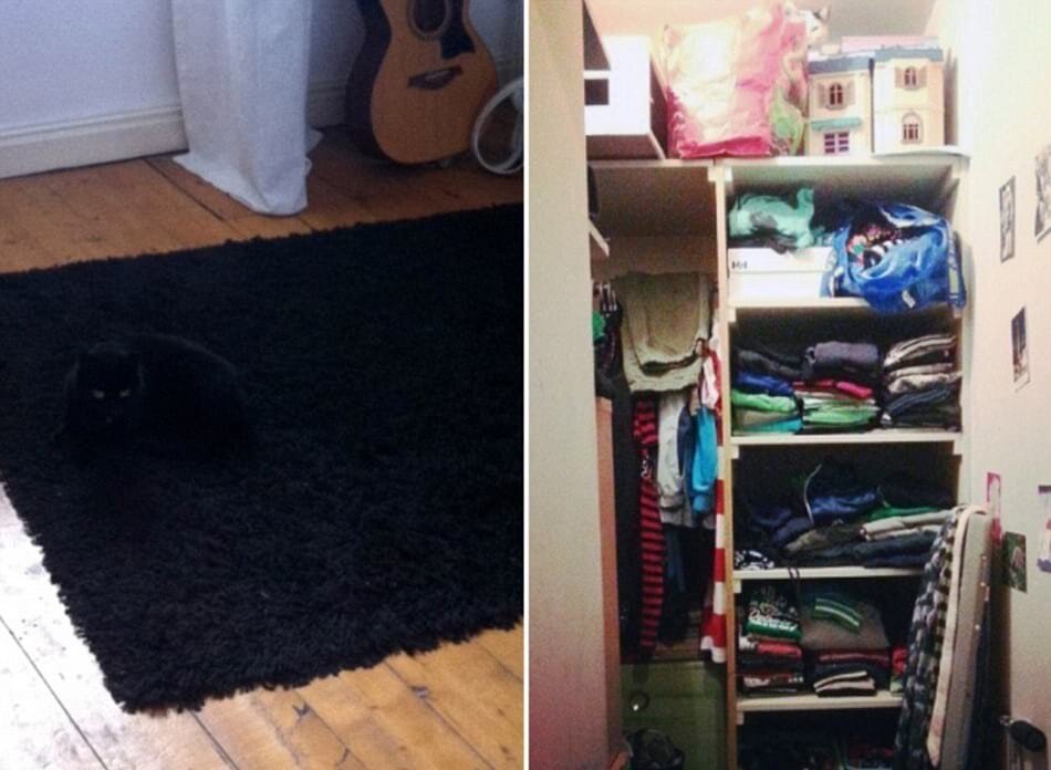 Кот слева еще новичок, а вот справа уже опытный!