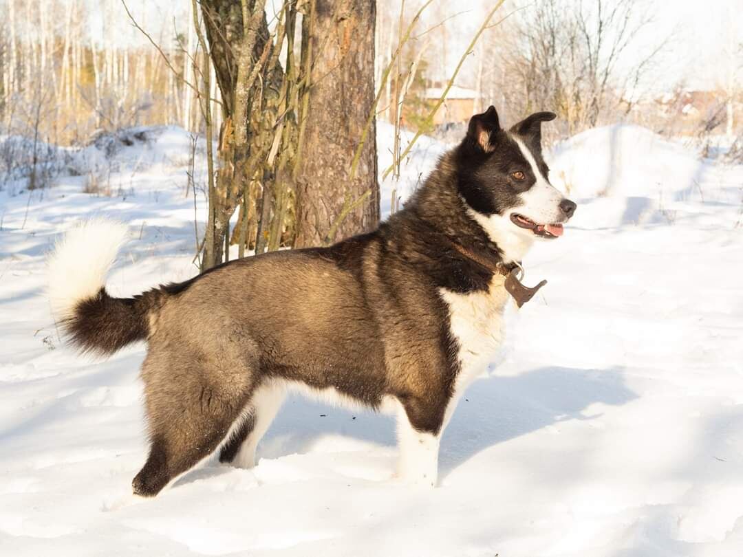 -2