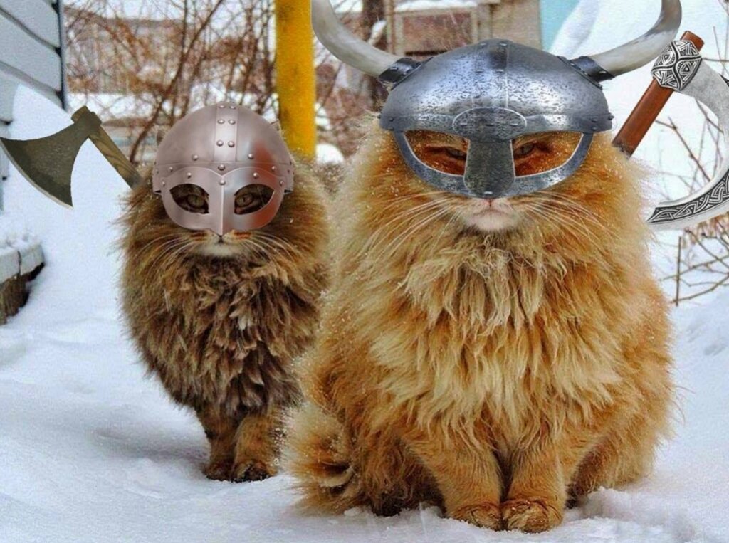 Источник картинки: https://disgustingmen.com/history/viking-cats/
