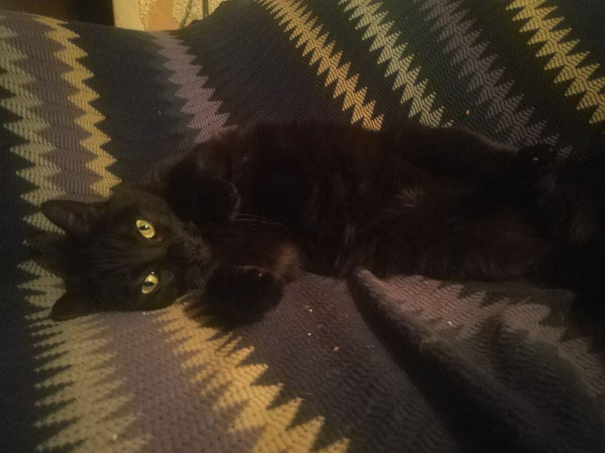 Убери свой айфон, мышку кидай уже