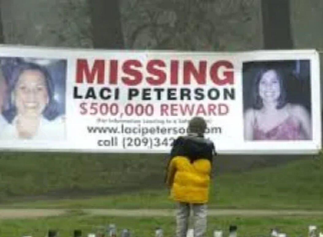 Баннеры поиска Лэйси Петерсон 