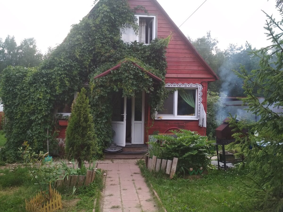 Июль 2019. Очередной день рождения ДОМА почти в одиночестве.