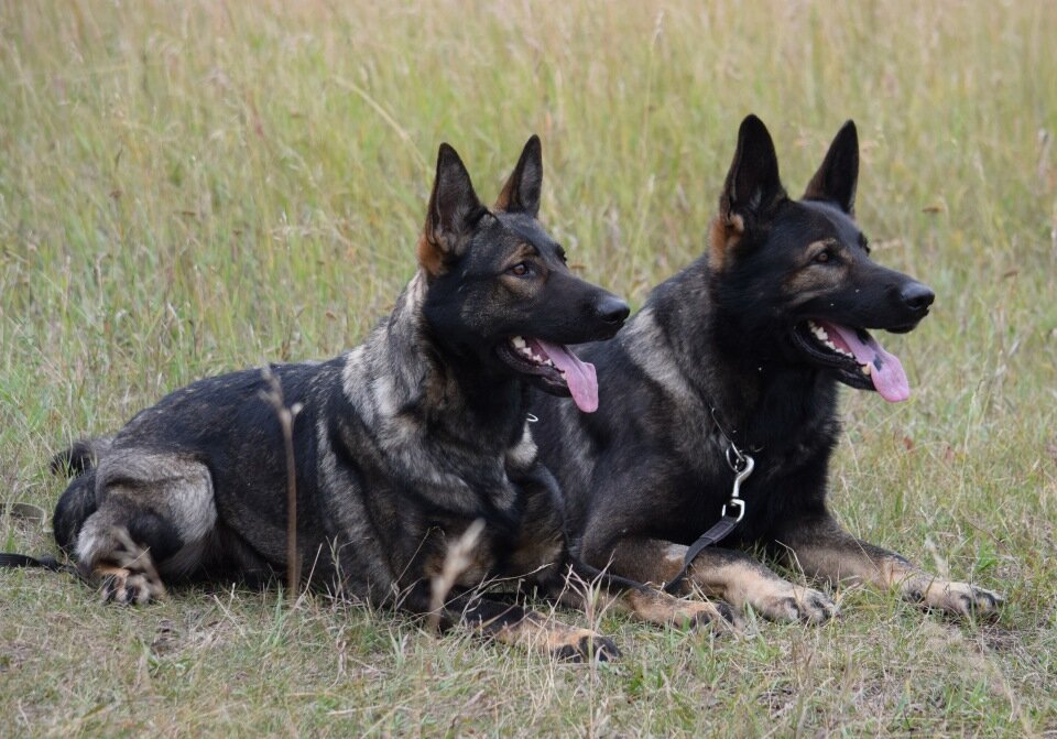 фото взято из открытых источников