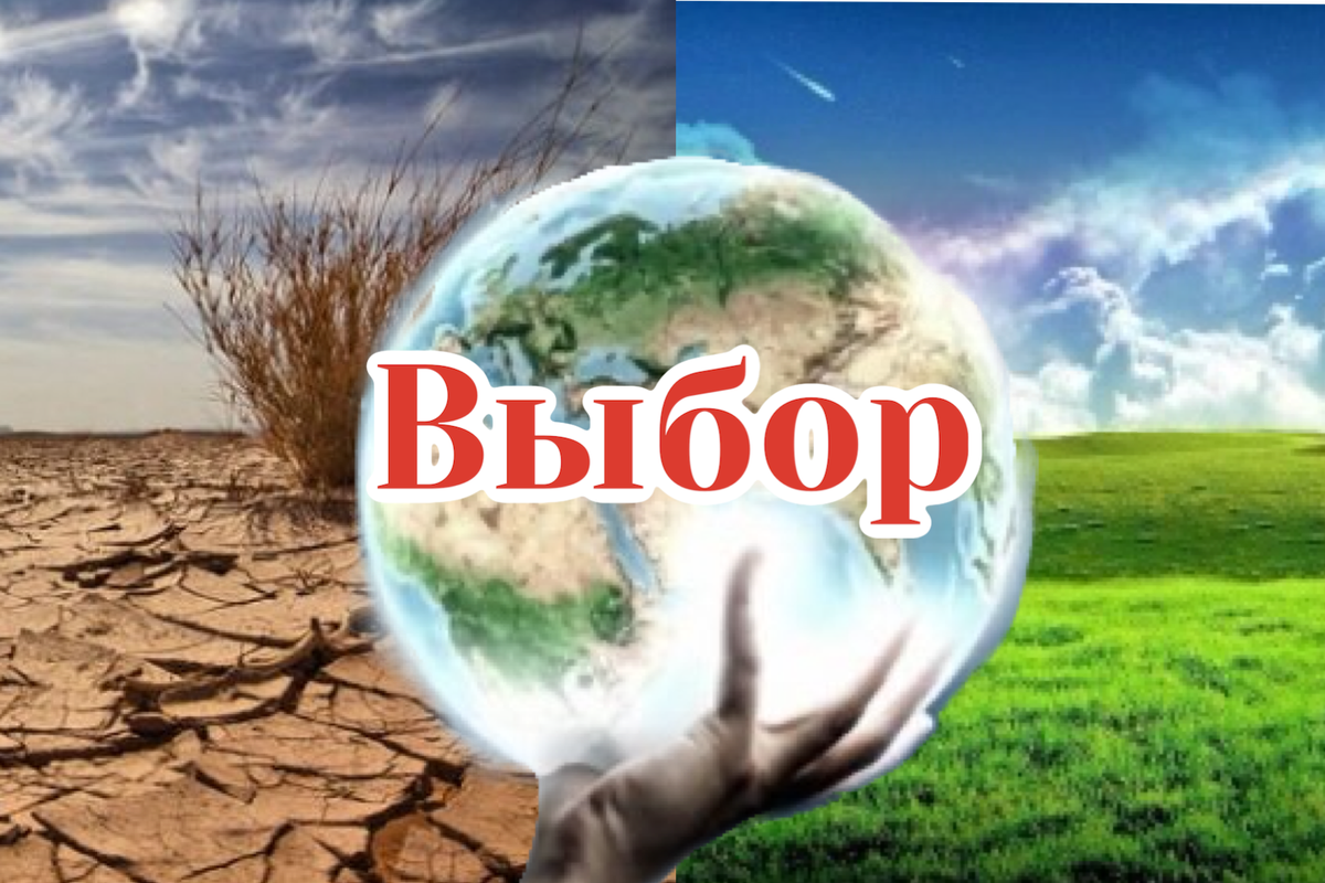 Твой выбор 