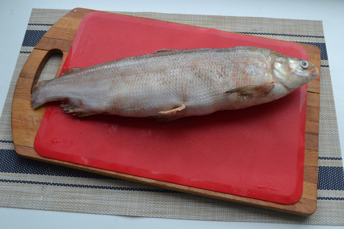 🚩 Что надо знать о рыбе чир или щокур, как ее поймать а потом приготовить