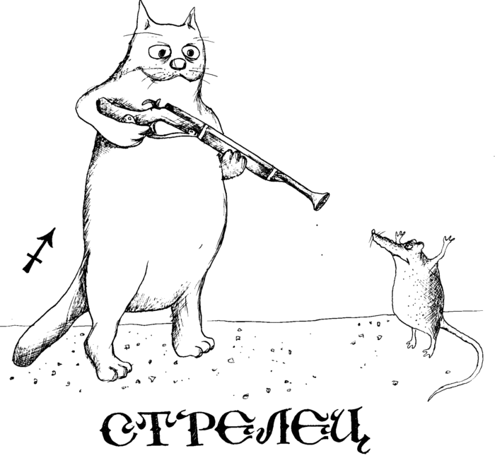 -11