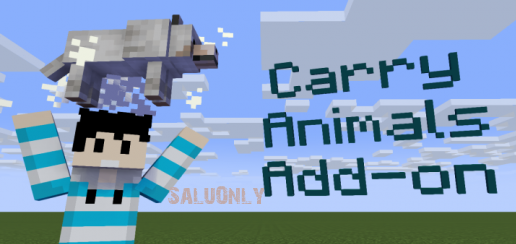 Mod Pick up Carry Minecraft