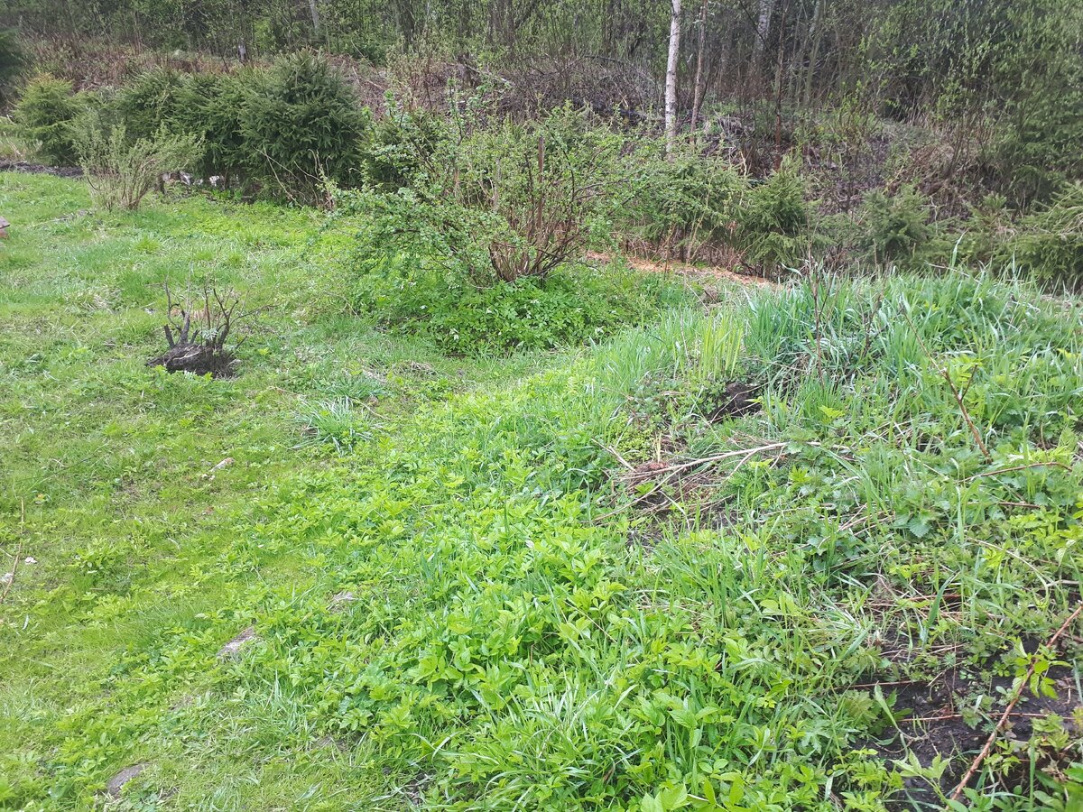 Бугор с другой стороны - тоже неплохое место для строительства