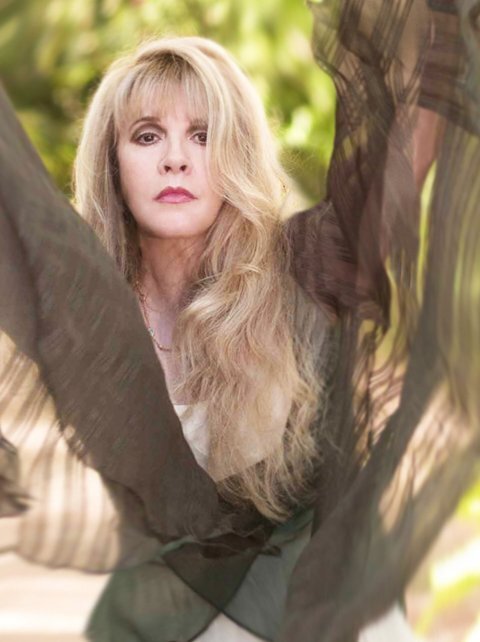  "Stevie" Nicks