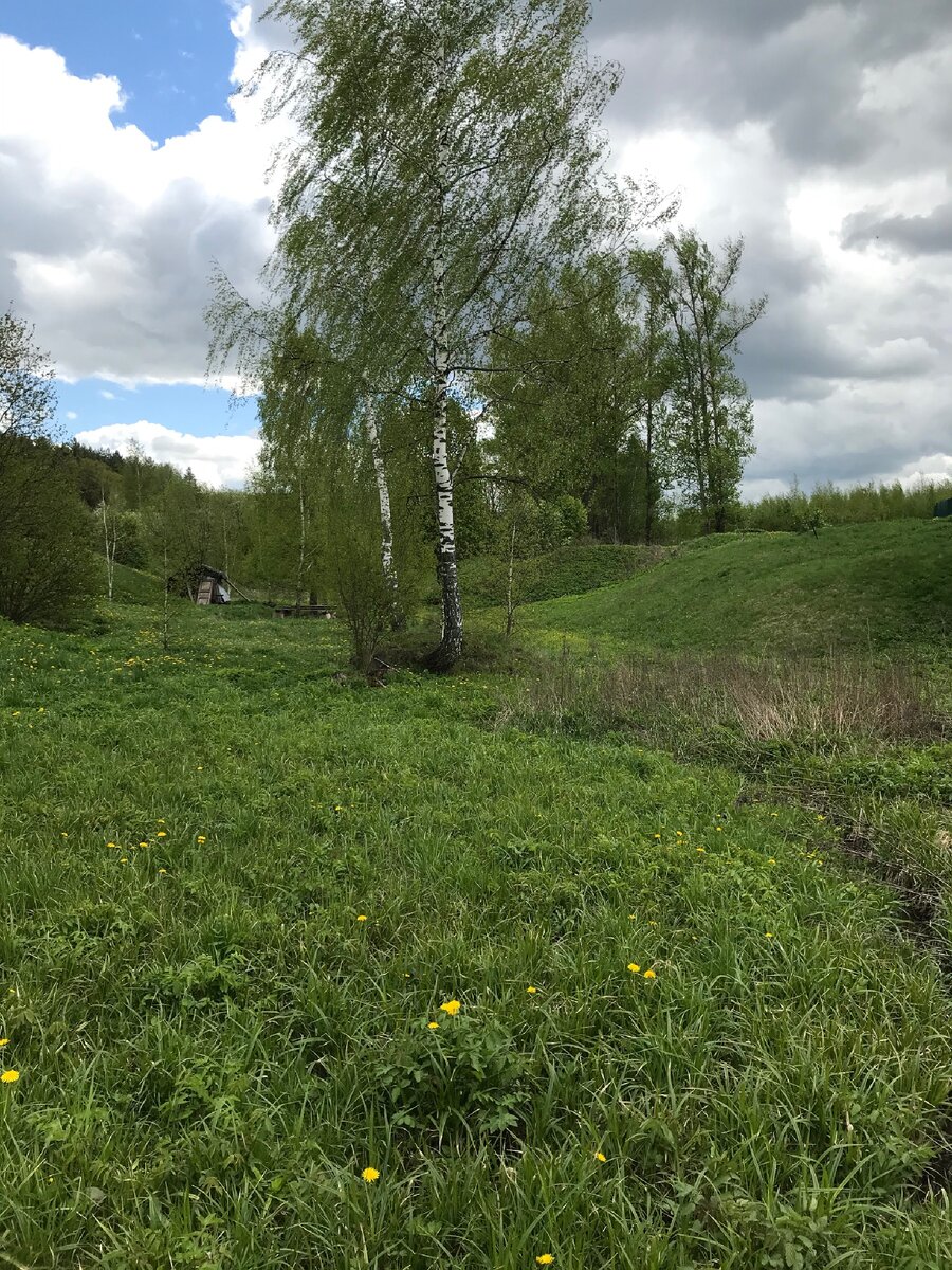 Фото автора. Местные пейзажи 