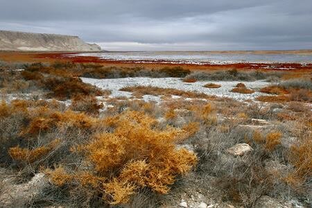 Неуклонно отступающий берег Аральского моря со стороны плато Устюрт.  Изображение из сети Интернет и в свободном доступе.