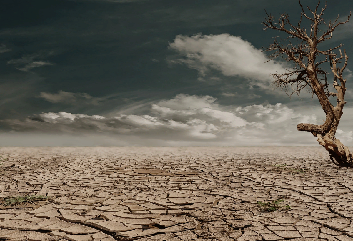 https://get.pxhere.com/photo/landscape-sea-tree-nature-rock-horizon-branch-cloud-sky-sunlight-morning-desert-wind-dry-reflection-weather-soil-cracked-earth-loneliness-hot-clay-cracks-drought-wasteland-dehydrated-devastated-clay-soil-atmospheric-phenomenon-983385.jpgRfhnf Hs;tuj ktcf