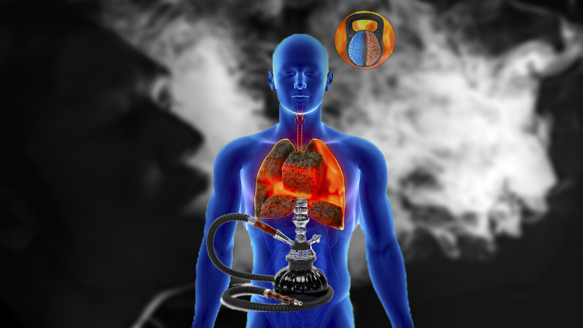 Ставьте лайки👍, делитесь записью📢, и подписывайтесь на мой канал💪