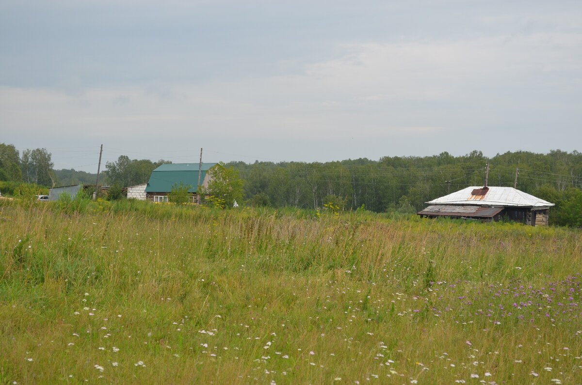 Поле в деревне. Фото автора