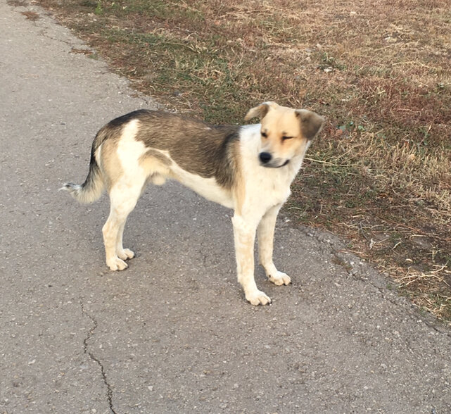 Фото автора.