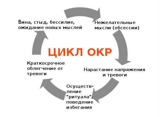 В таком замкнутом круге какое-то время приходиться жить. Фото с b17.ru