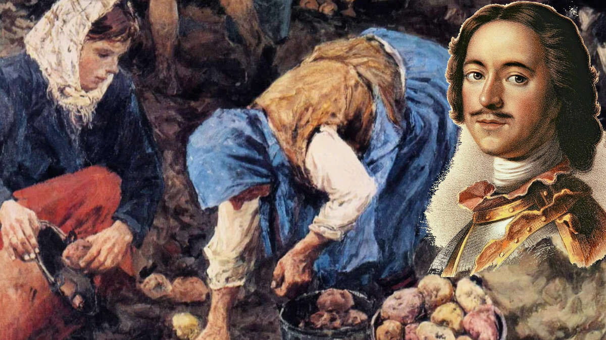 Конечно и табак Петр 1 нам открыл, но впрочем - это уже совсем другая история!