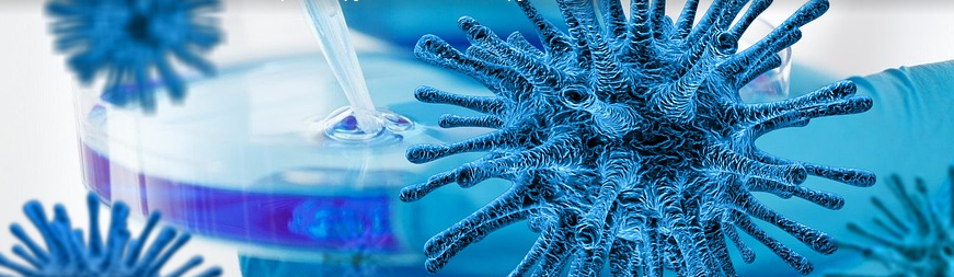 из свободных источников