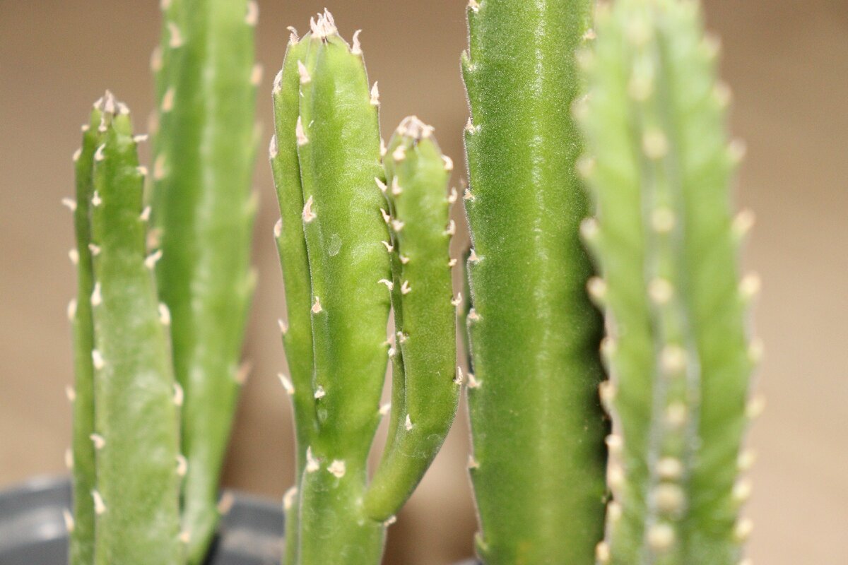 Личное фото