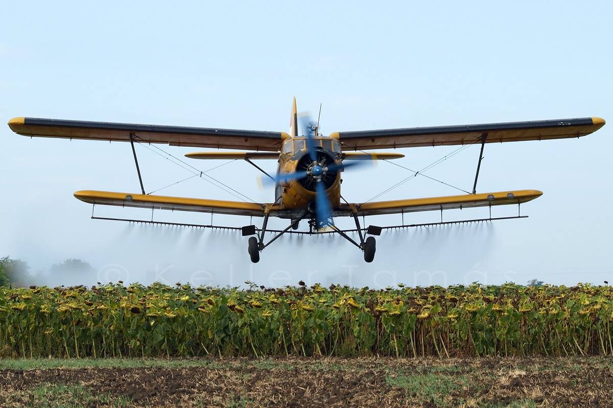 Фото из открытого источника