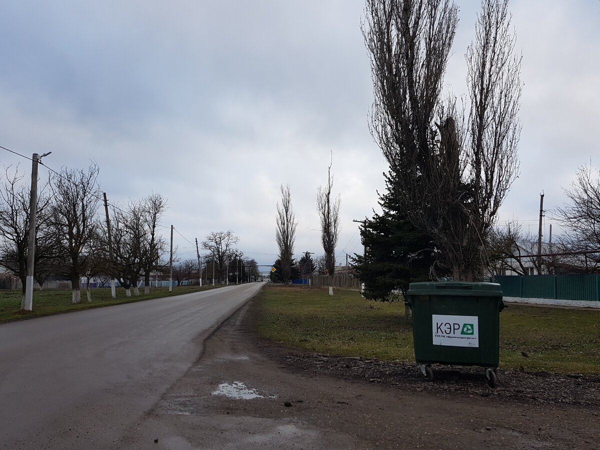 Мусорный контейнер в Ярком.