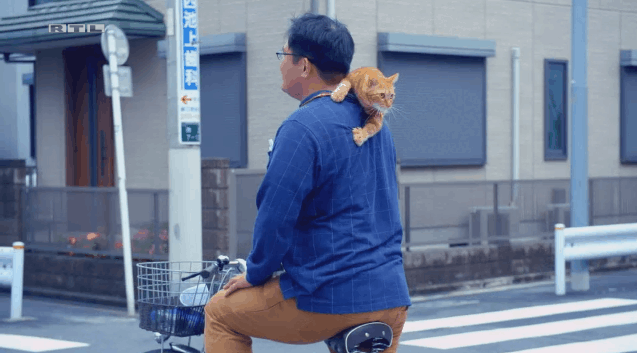 (Источник: Giphy)