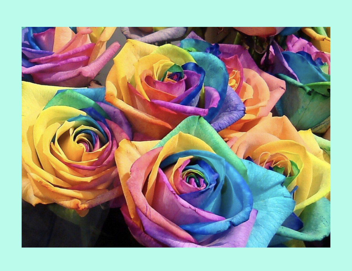 Какие цветы подойдут для весенних букетов и как продлить им жизнь ...