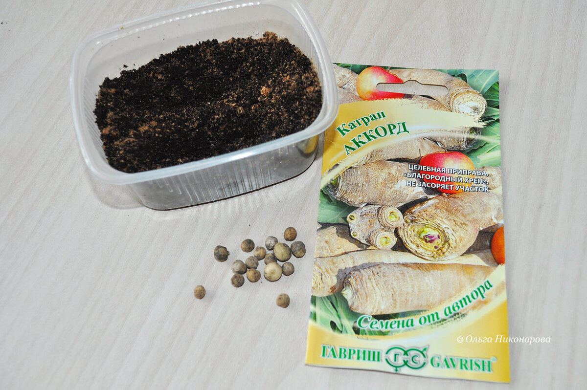 Купила семена в Ашане