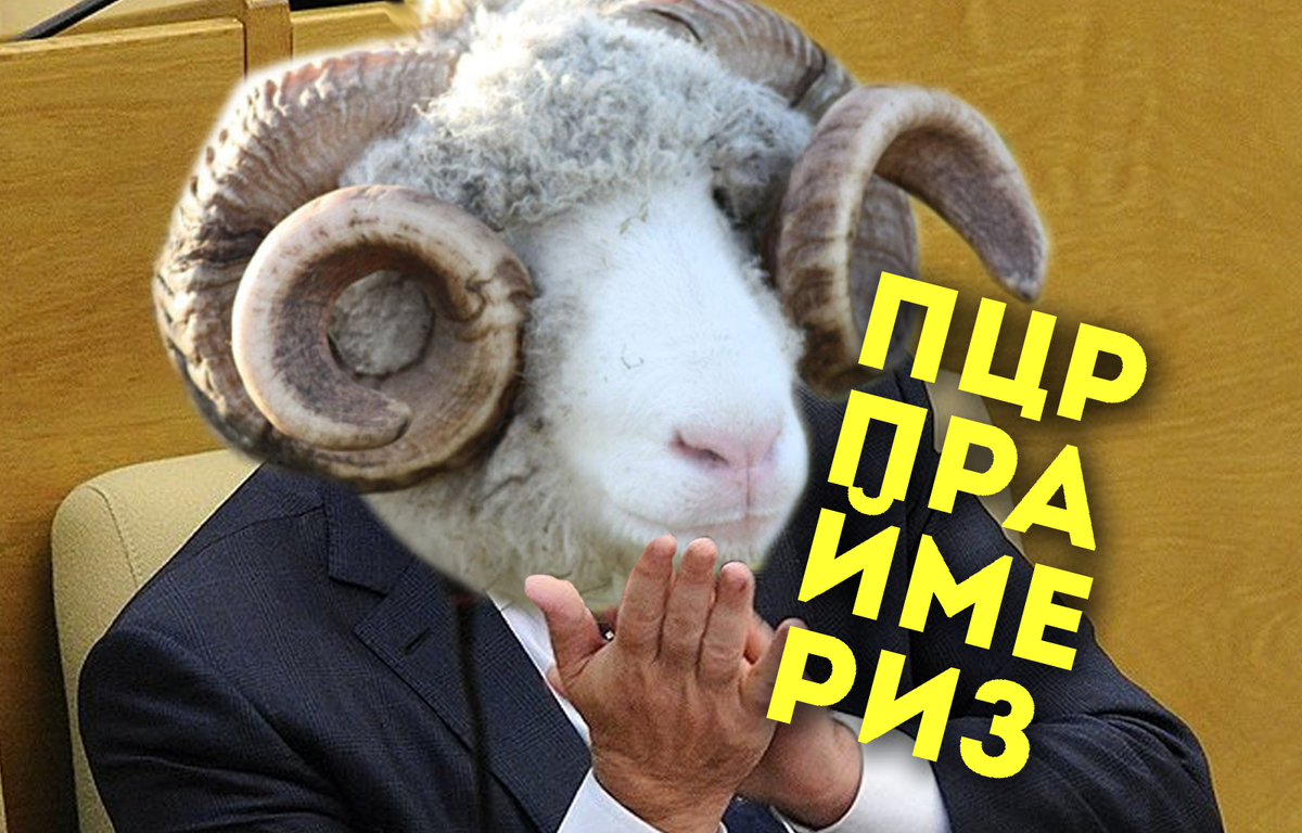 Фото из свободных источников. Надпись автора