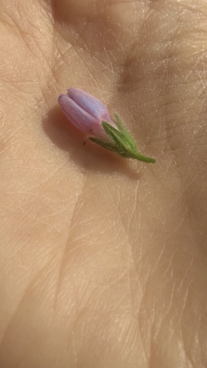 Первое правило замечательной жизни - ЗАМЕЧАЙ!